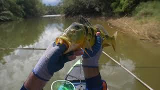 Rema y Pesca en Kayak