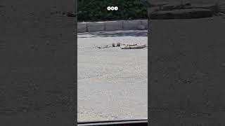 "يتحرك دون تدخل".. غطاء بالوعة يثير الجدل والرعب بين المصريين في مدينة 6 أكتوبر