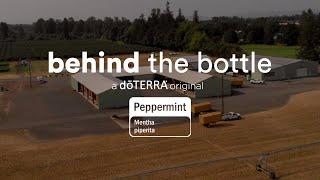 Peppermint Essential Oil | dōTERRA Behind the Bottle (Translated Subtitles)