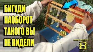 ПОМЕЩАЕМ МАТОЧНИКИ В КЛЕТОЧКИ ВЫВОД МАТОК, ОТВОДКИ ПЧЕЛ БЕЗ РОЕНИЯ 3 ДЛЯ НАЧИНАЮЩИХ ПЧЕЛОВОДОВ 14-21