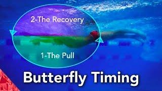 Butterfly Swimming Technique.  Timing.  How to swim butterfly