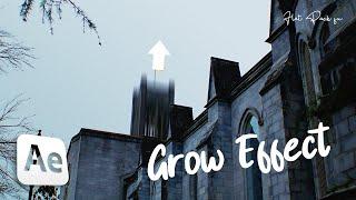 Building GROW EFFECT - After Effects