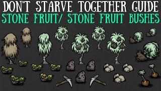 Stone Fruit Bushes & Stone Fruit - Don't Starve Together Guide [Return of Them] [Lunar Island]