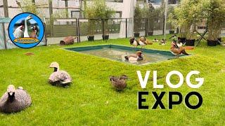 ÉNORME VLOG VISITE EXPOSITIONS AVICOLE