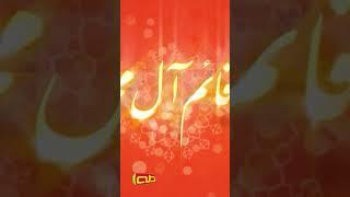 يا قائم آل محمد (ص)