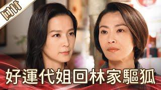 《好戲回甘》好運來 EP4 好運代姐回林家驅狐