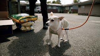 Seattle Animal Shelter outreach program