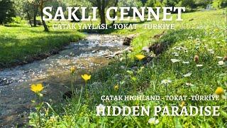 Saklı Cennet - Çatak Yaylası - Tokat - Türkiye  Hidden Paradise - Çatak Plateau - Tokat-Türkiye️