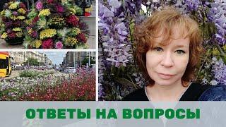 Городское озеленение в Европе, карманные парки, линейные парки, лучшие растения для озеленения