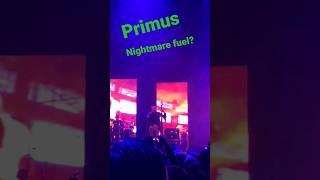Primus is weird! WTF? @officialprimus  #primus #shorts #metal #rock #bassguitar #weird