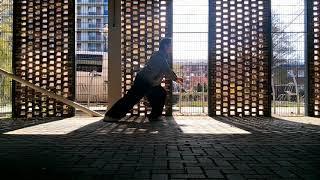 Wu style taijiquan pt.4