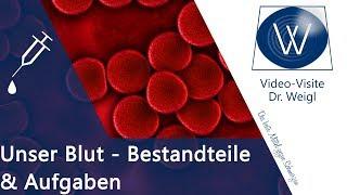 Wozu brauchen wir Blut? Aufgaben & Funktionen rote Blutkörperchen, Thrombozyten & Blutplasma