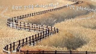 [순천] 순천만 갈대숲에서(진해성 - 가사자막)