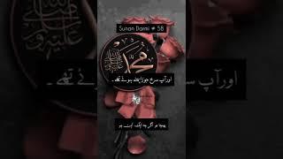 QARI DANISH MEHBOOB ️ |  HADEES E RASOOL PBUH  Whatsapp status 