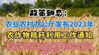 政策动态 | 农业农村部办公厅发布2023年农作物秸秆综合利用工作通知