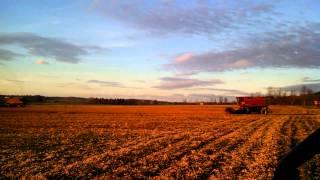 Vermont Bean Harvest '13 1440 and 1460