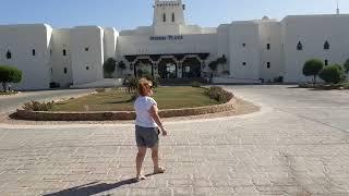 Отель Sharm Plaza. Шарм-эль-Шейх .Шикарные кораллы отвратительный отель.