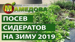  Какие Сидераты Сеять Осенью. Сидераты и Подготовка Почвы.