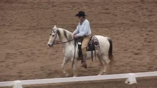 Keith Jacobson and Bosley  Working Equitation Expo 2017