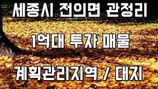 세종시 전의면 관정리