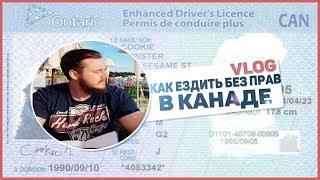 Как ездить без прав в Канаде / Как получить права в Канаде