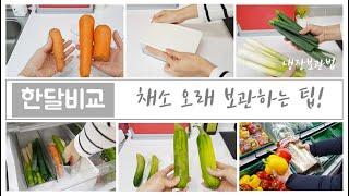 how to store vegetables for long time/1 Month Comparison of Vegetables