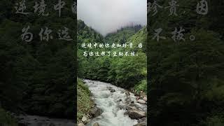 逆境 坚韧不拔 #正能量 #疗愈 #静心小筑 #女性心灵驿站 #shorts
