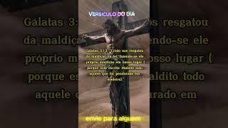 Maldito todo aquele que for pendurado em madeiro#versiculododia #palavradedeus #versiculodiario #fé