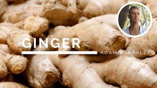 Ginger - The Oil of Power