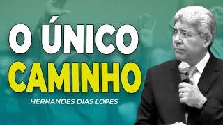 HERNANDES DIAS LOPES | CAMINHO E VERDADE