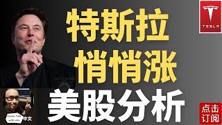 特斯拉冲高回落 尾盘悄悄涨？ | Jay金融财经分析