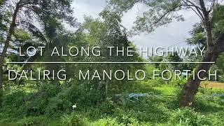 Lot Along Highway in Dalirig, Manolo Fortich | Bukidnon | Mitch Mandac