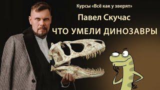 Павел Скучас "Что умели динозавры" // Курсы юного натуралиста "Всё как у зверят"