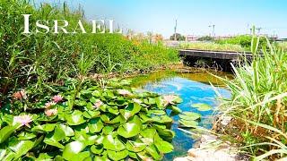 ISRAEL. Amazing Parks of Petah Tikva and North Tel Aviv