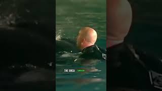 Shocking Incident  Killer Whale Attack On The Trainer #animals #nature #orca