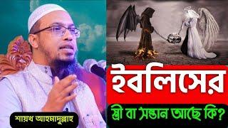 ই'বলিসের স্ত্রী বা স'ন্তান আছে কি না? #শায়খ_আহমাদুল্লাহ  #Shaikh_Ahmadullah #bangla_waz #waz_2022