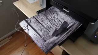 Canon PIXMA PRO-100 printing on Canvas