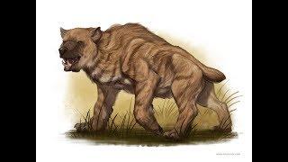 The Nandi Bear: Bear, Hyena or Baboon?