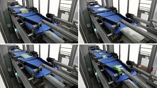 BluePrint Automation (BPA) Gravity 100r Case Packer