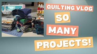 Quilting Vlog... So Many Quilt Projects!