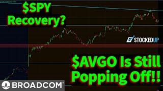 $SPY Recovering This Morning. Will $AVGO Keep The Momentum Going?