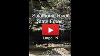 Salamonie River State Forest ~ Largo, IN