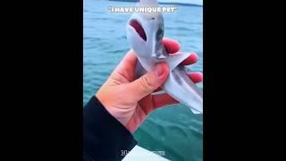 That's not a Pet (TheLastOne)️