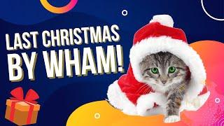 Last Christmas - WHAM! by Cute Cats