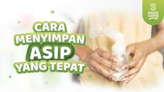 CARA MENYIMPAN ASIP YANG TEPAT