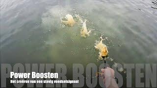 Power Boosten (boiliemix als grondvoer)