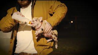 Belly Gang Kushington - Pig Latin (Official Music Video)