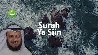 Surah YASIN Merdu dan Menyejukkan - Mishari Rasyid Al-Afasy