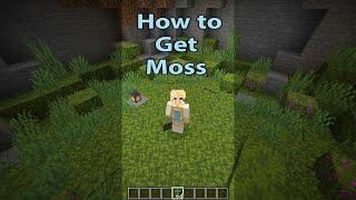 How to Get Moss in Minecraft 1.17 #shorts