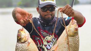 Mancing ikan tenggalan di wetland putrajaya..